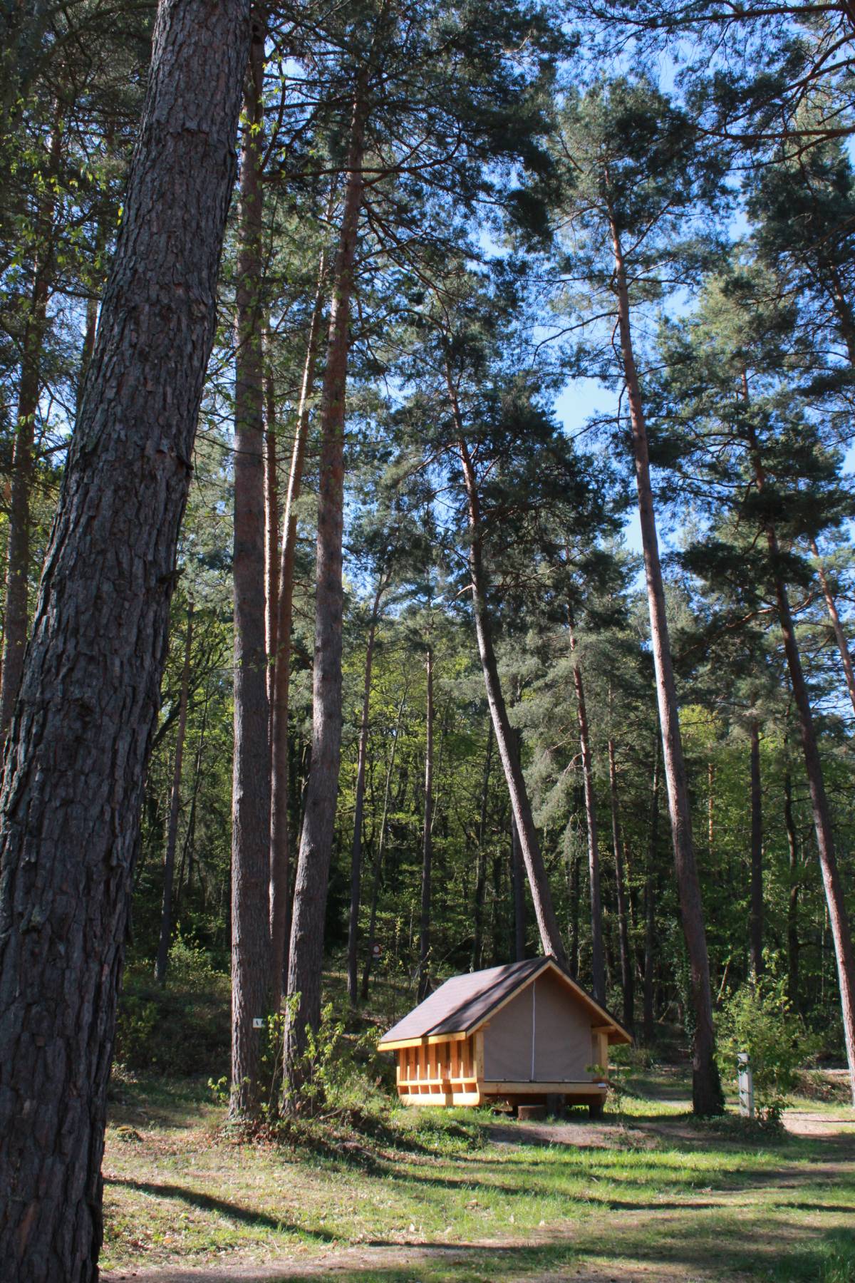 IMG_4848 100X100 | Camping Osenbach Hutte Riedisheim 0