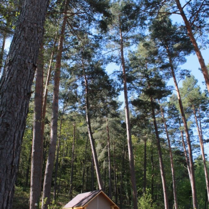 H&eacute;bergements &amp; Paysages Wittenheim 6