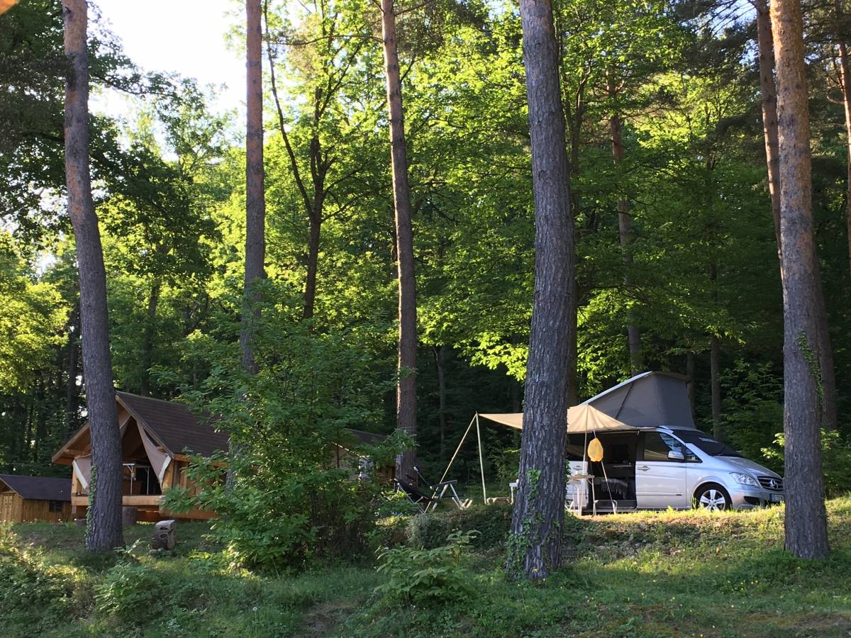 Pourquoi passer ses vacances en camping dans le Haut-Rhin ? Wittenheim
