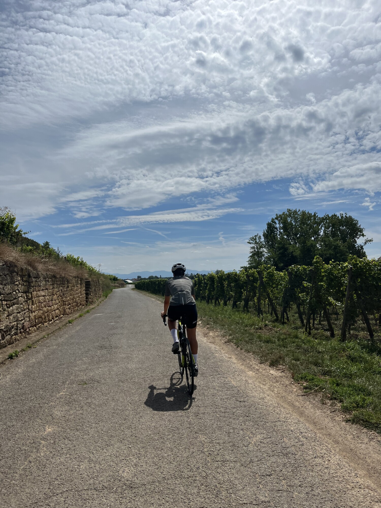 VELO DE ROUTE | Camping Osenbach Le camping Osenbach, c’est surtout le sport et la convivialité ! Cernay