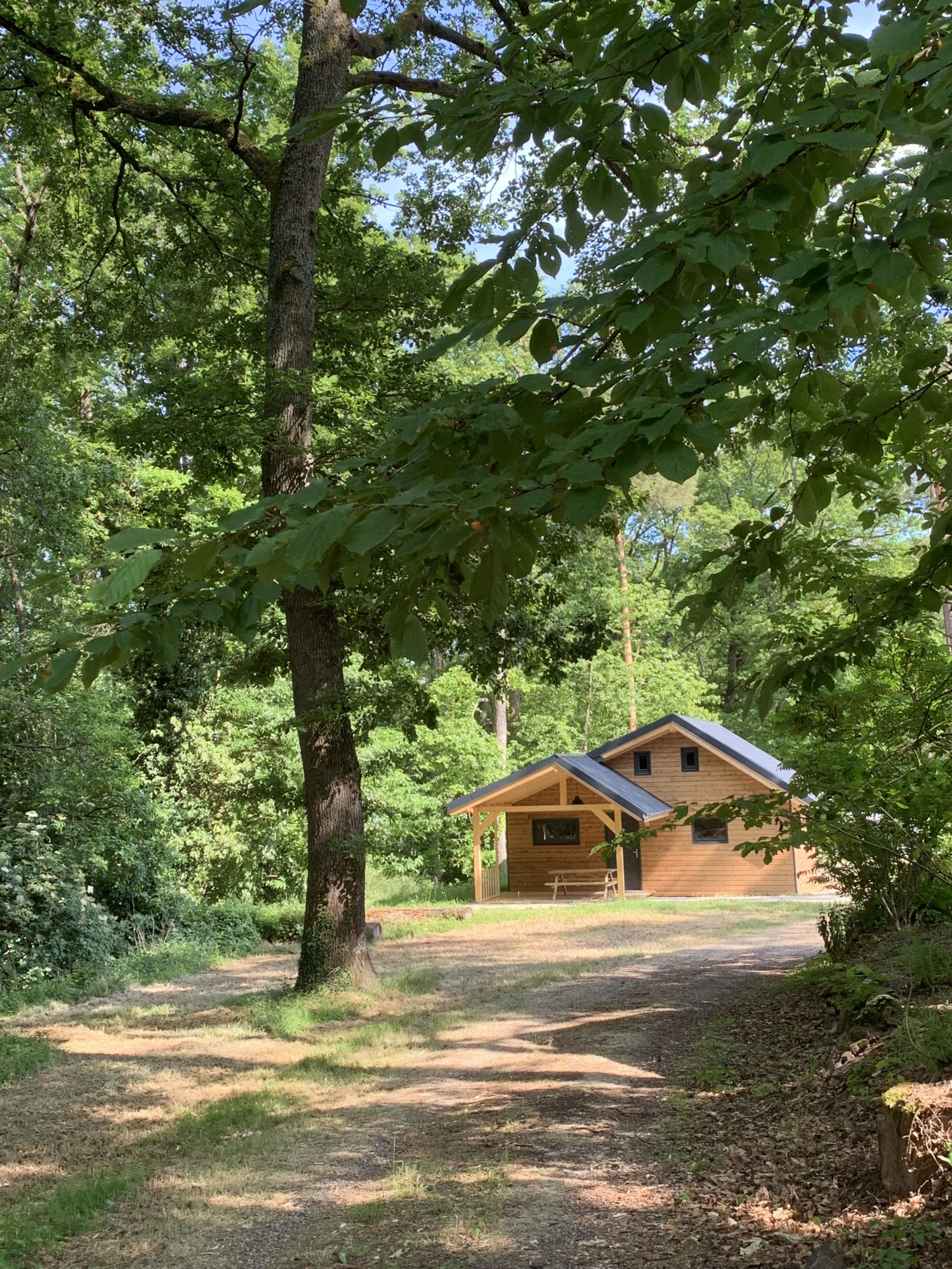 POTO DE TETE 100X100 | Camping Osenbach Cottage Colmar 0