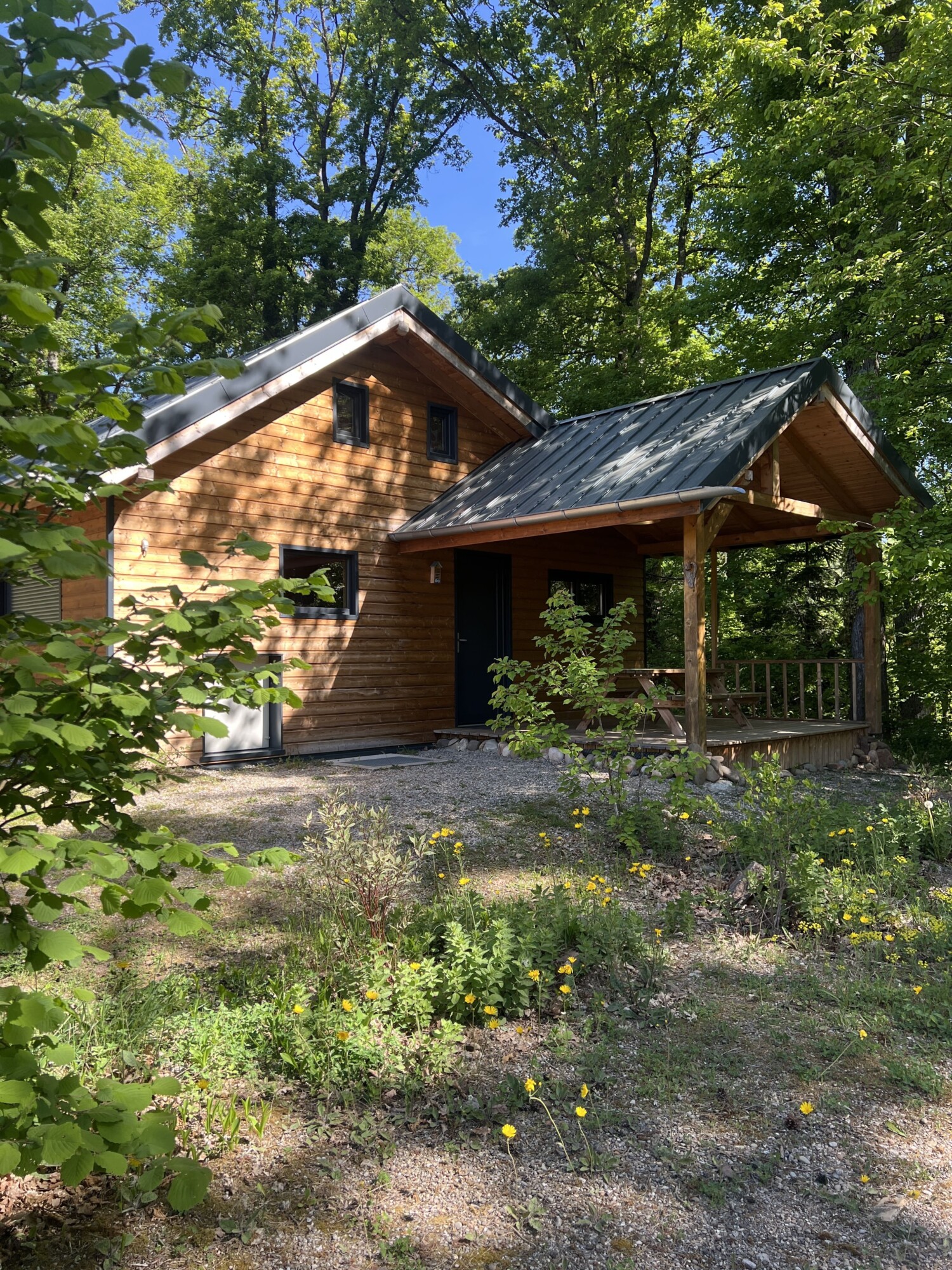 IMG_7098 1 100X100 | Camping Osenbach Cottage Colmar 0