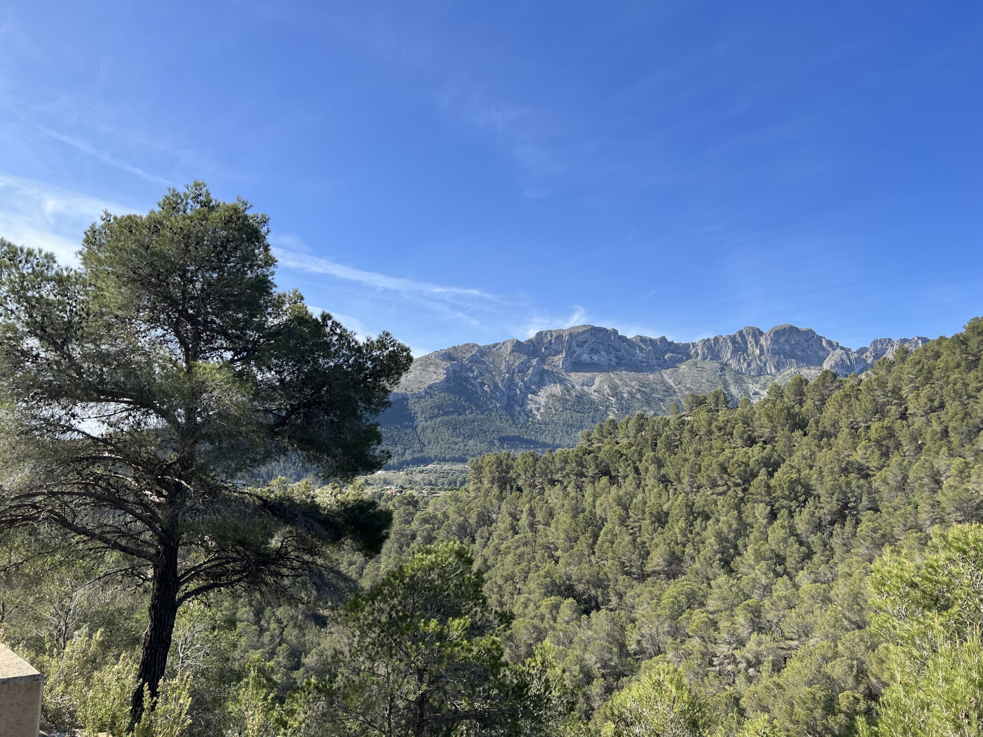 COL VELO 2 100X100 | Camping Osenbach Casa Sandra Cernay 0