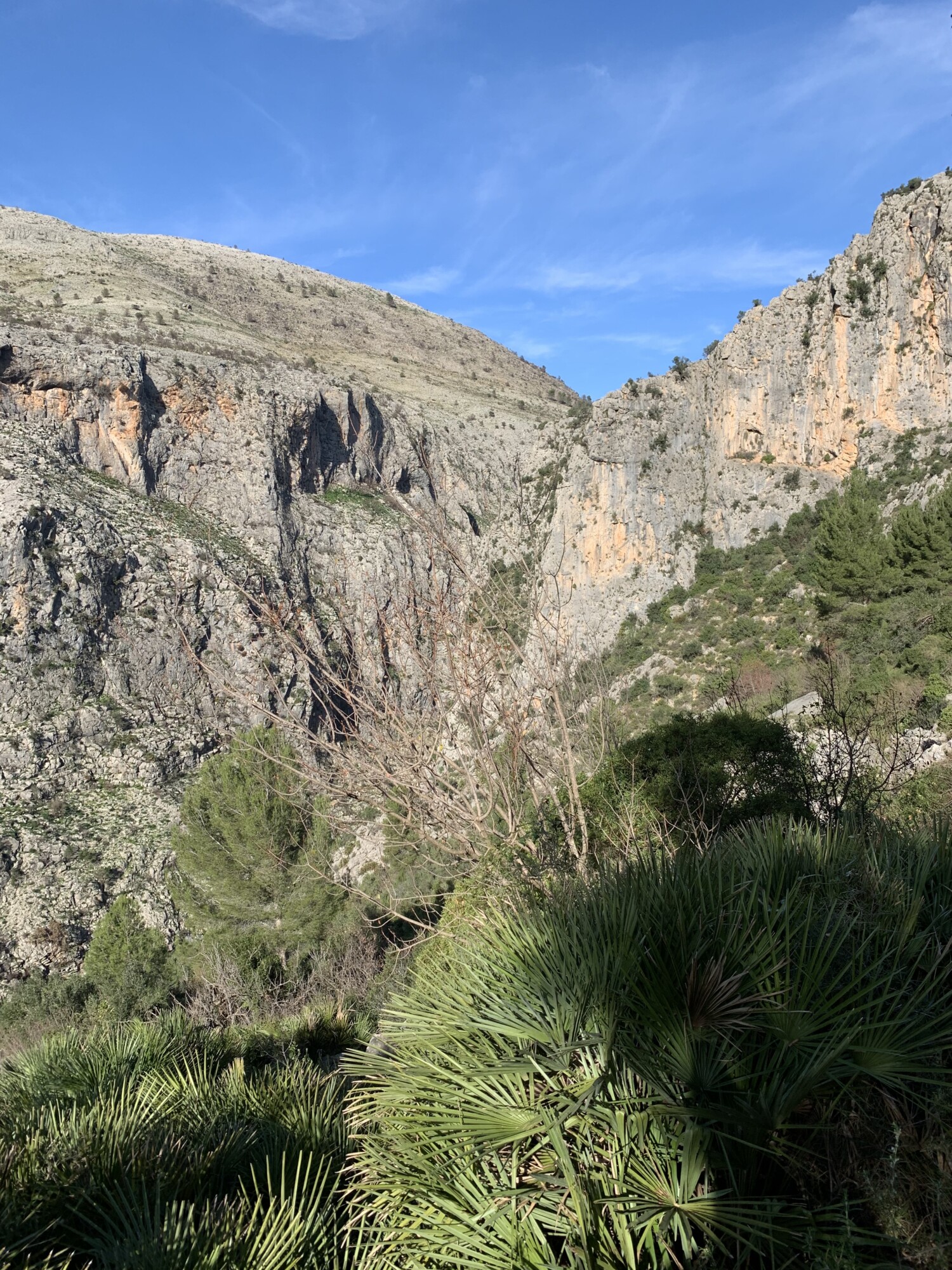 RANDO 2 100X100 | Camping Osenbach Casa Sandra Cernay 0