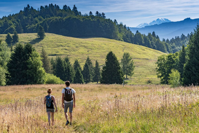 Top 5 des Activités Familiales à Proximité du Camping Sport and Nature Spirit Pfastatt