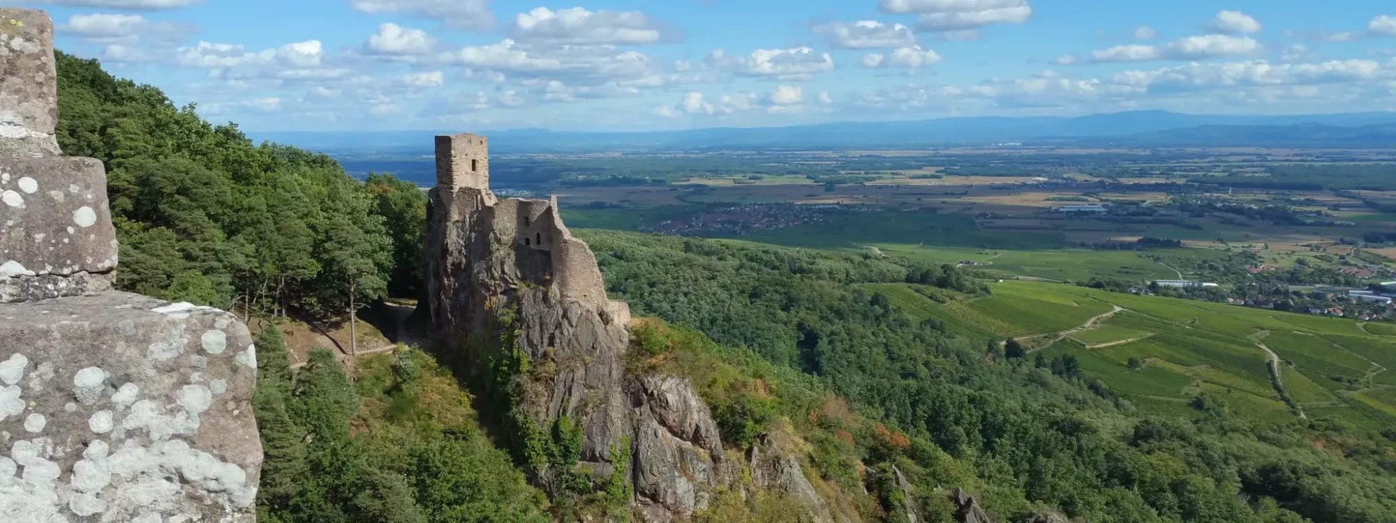 Les Randonnées Incontournables autour de Colmar Pfastatt