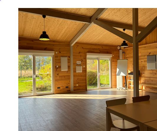 Comment Organiser un Séminaire Écologique en Plein Air Kingersheim