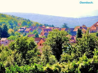 OSENBACH PHOTO | Camping Osenbach À propos du Camping Osenbach Colmar 4