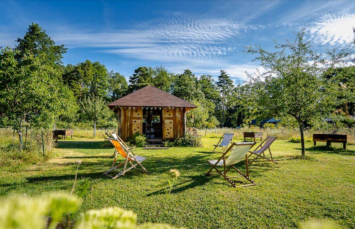 Un camp de base sport et nature en Alsace Wittenheim